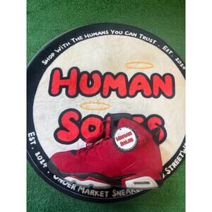 Jordan 6 ‘Toro Bravo’|Size 11M